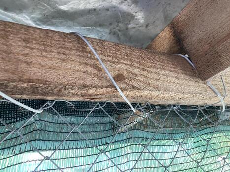 Installation of mosquito netting photo