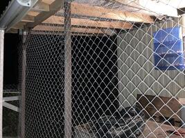 Installation of mosquito netting photo