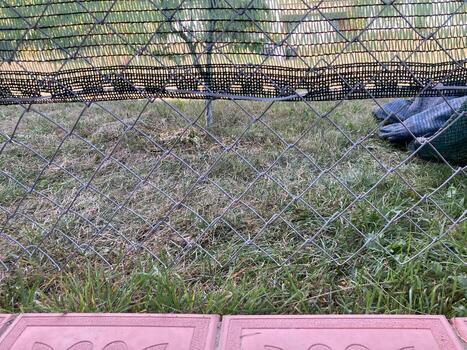 instalación de mosquito red foto