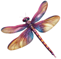 Colorful dragonfly perched on a leaf in sunlight, cut out - stock . png