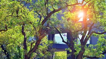 New modern block of flats in green area. Eco apartment building saving energy and fresh air concept. Green tree and new apartment building. The harmony of nature and modernity. photo