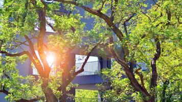 New modern block of flats in green area. Eco apartment building saving energy and fresh air concept. Green tree and new apartment building. The harmony of nature and modernity. photo