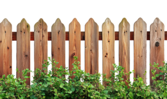 Wooden fence with shrubs in a garden setting, cut out - stock . png