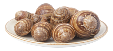 Freshly harvested escargot displayed on a white plate, ready for culinary preparation in a kitchen setting, cut out - stock . png