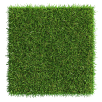 Green Grass in a Rectangular Frame AI-Generative png