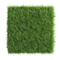 Artificial Green Grass AI-Generative png