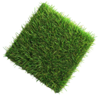 Lawn Artificial Turf Grass AI-Generative png