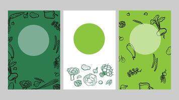 Vegetable frame collection, vertical banners or posters for farmers market vector