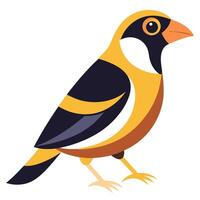 Evening Grosbeak bird stay kawaii vector