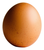 Brown egg resting on a smooth surface, showcasing its speckled texture and natural color, cut out - stock . png