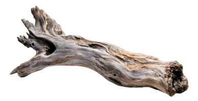 Driftwood with unique textures and shapes found on a sandy beach during sunset, cut out - stock . png