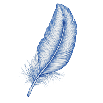 azul pluma con intrincado detalles y suave bordes png