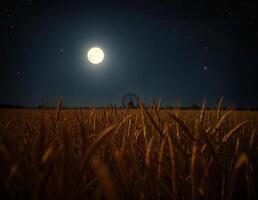 a full moon is shining on the starry night sky over a wheat field on sharad purnima event photo