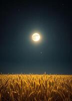 a field of wheat at night starry sky of sharad purnima event with a full moon photo