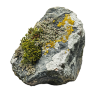 Rock covered in moss and lichen in natural setting png