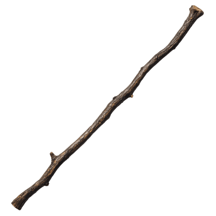 Stick PNG para descargar gratis