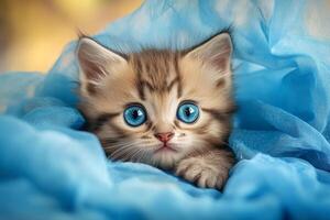 Hiding cat peeking out from under a blue curtain , showcasing curiosity and playfulness. photo