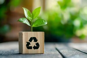 growing plant with Wooden Block with recycle symbol. environment and conservation concept. photo