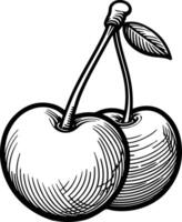 Cherry Fruit Contour Sketch vector