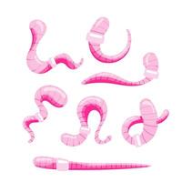 Set of pink earthworms is wriggling, each adorned with a white medical bandage vector
