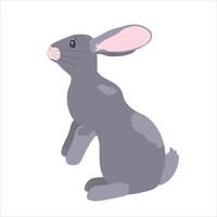 An attractive grey rabbit highlighted on a white background. Easter bunny. vector