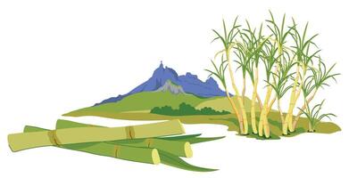 Sugarcane fields with famous Pieter Both mountain in the background. landscape of Moka mountain range, tourist attraction of Mauritius island. Horizontal illustration of landmark in flat style. vector