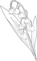 Isolated simple minimal one lily of the valley branch twig with glowers and leaves colorless black and white contour line easy drawing coloring pages for kids, lily of the valley coloring page Pro vector