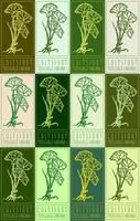 Set of drawing COLTSFOOT in various colors. Hand drawn illustration. Latin name is TUSSILAGO FARFARA L. vector