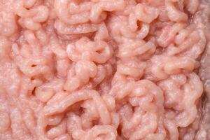 Fresh raw chicken mince with salt and spices photo