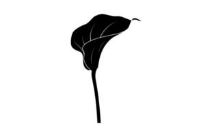 Arum Lily Silhouette isolated on a white background vector