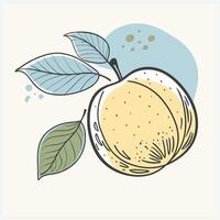 Brown Color Fruit Illustration vector