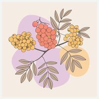Majestic Rowan Tree Illustration vector