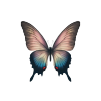 Beautiful Butterfly Isolated on a Transparent Background png