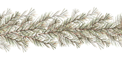 Pine or fir tree branches seamless border, pattern. Spruce evergreen with needles. Winter forest watercolor Christmas , New year hand drawn illustration for fabric, wrapping. Isolated from background png