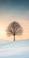 Bare tree on snowy hill during sunset in winter landscape photo