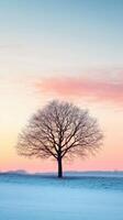 Single tree against a colorful twilight sky in winter photo