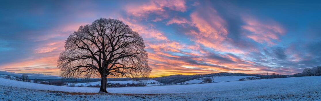 Beautiful sunset over a snowy field with a solitary tree photo
