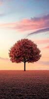 Autumn sunset over a solitary red tree in open field photo