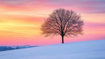 Lonely tree on a snow-covered hill during a colorful sunset photo