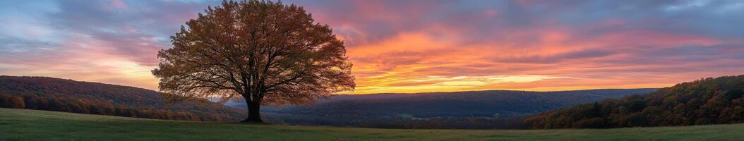 Sunset over the hills with a solitary tree in a peaceful landscape photo