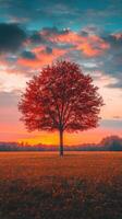 Vibrant autumn tree against a sunset in a serene landscape photo