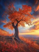 Autumn sunset over a solitary tree in a vibrant landscape photo
