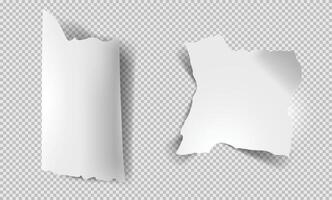 Pieces of torn white pages. Set of realistic torn sheets. Ripped sheets. Paper with jagged edges vector