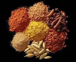 Assorted Indian spices arranged in a circular pattern on a dark surface photo