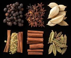 Variety of Indian spices arranged on a dark background photo