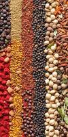 Variety of Indian spices arranged in colorful patterns on a surface photo