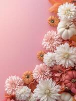 Autumn flowers and pumpkins arranged on a pink background photo