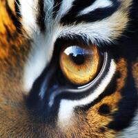 Close-up of a tiger's eye showcasing intricate details and colors photo