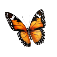 Beautiful Butterfly on Transparent Background. png