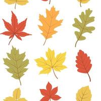 Fall leaves seamless pattern. Autumnal oak, maple, and chestnut leaf. Fall botanical seasonal background for wrapping paper, wallpaper, and fabric. Autumnal foliage print on white background. vector